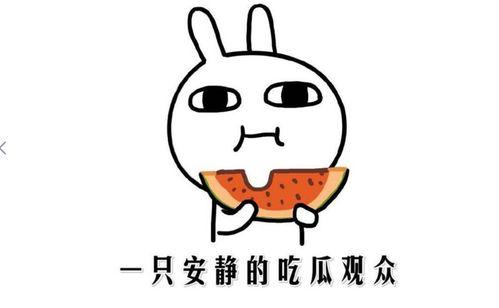 娱乐吃瓜酱面试技巧