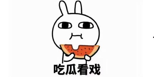 娱乐吃瓜君舔屏,揭秘明星幕后故事