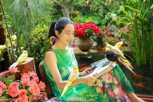 吃瓜娱乐社杨丽萍,吃瓜娱乐社中的舞蹈传奇