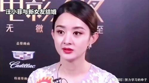 娱乐八卦吃瓜赵丽颖小说免费阅读,揭秘明星背后的故事,免费畅读